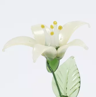 金银花