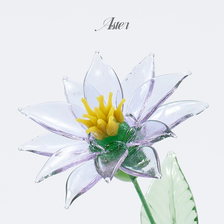 Flower Type: Aster