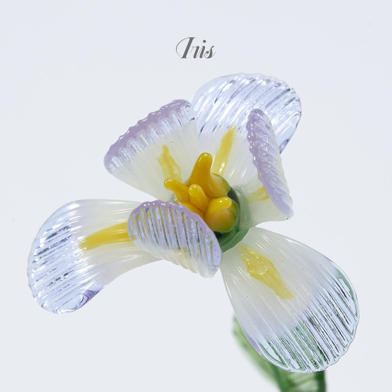 Flower Type: Iris