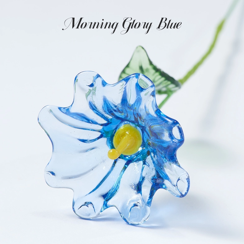 Flower Type: Morning Glory blue