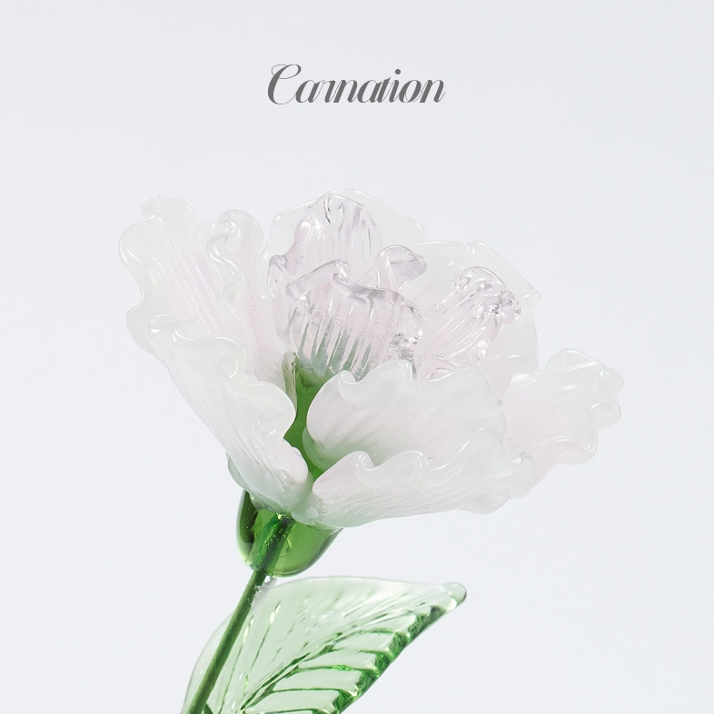 Flower Type: Carnation