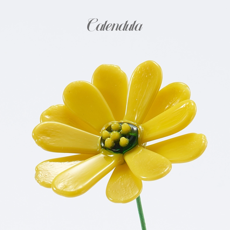 Flower Type: Calendula
