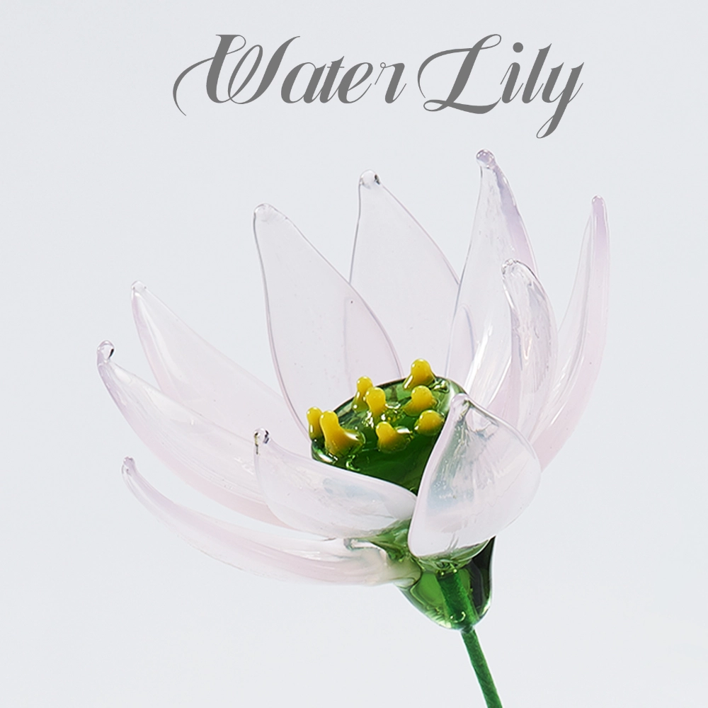 Flower Type: Water lily