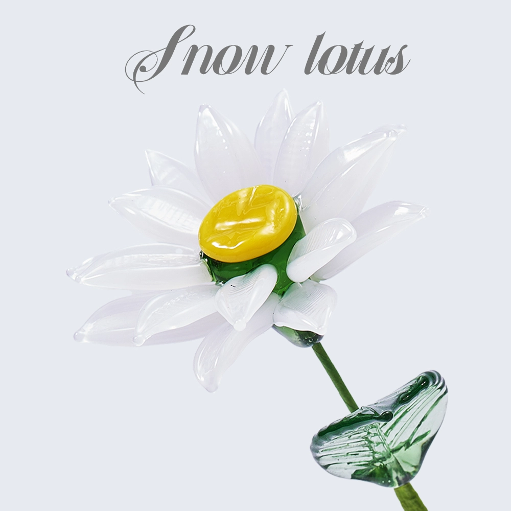 Flower Type: Snow lotus