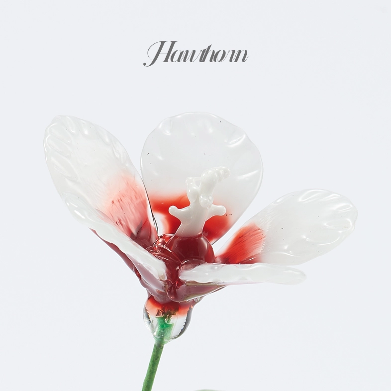 Flower Type: Hawthorn